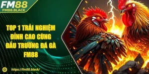Đá Gà Fm88 - Top 1 Đấu Trường Trải Nghiệm Đỉnh Cao