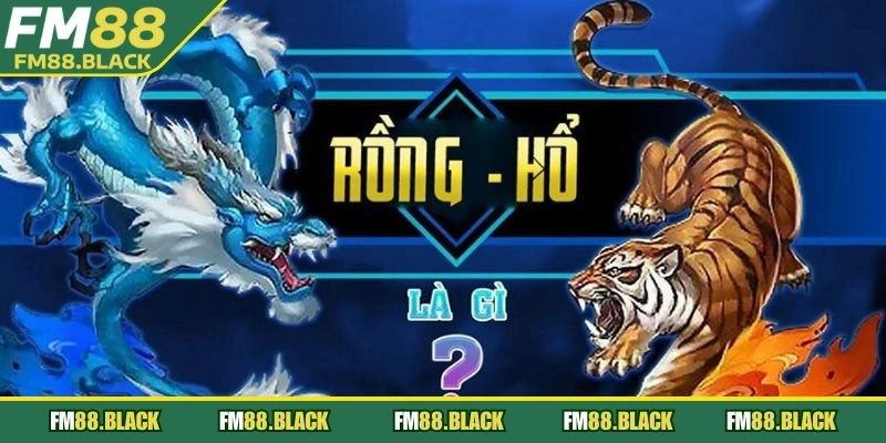 Người mới nên bắt đầu với mẹo chơi Rồng Hổ đơn giản để tránh thua lỗ